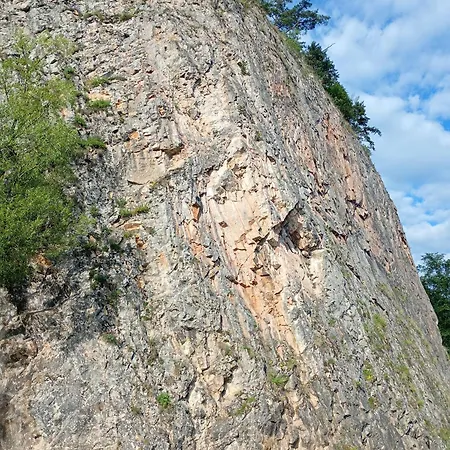 Goscinne Skwarek