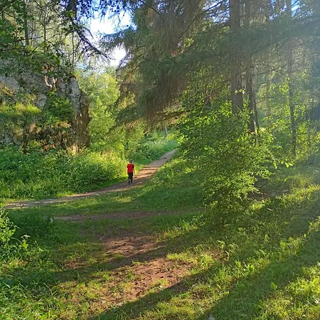 Goscinne Skwarek