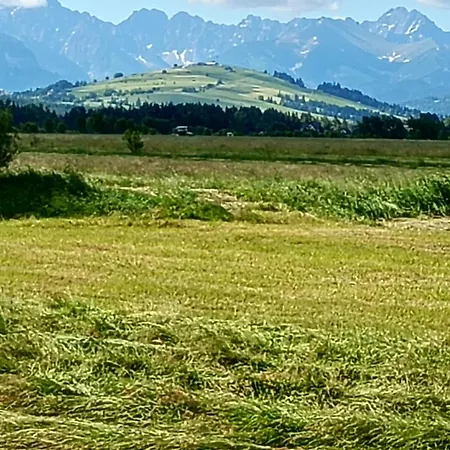 Goscinne Skwarek