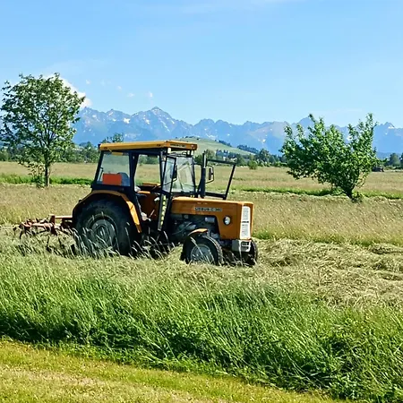 Goscinne Skwarek