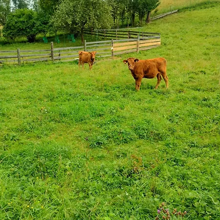 Landsted Goscinne Skwarek
